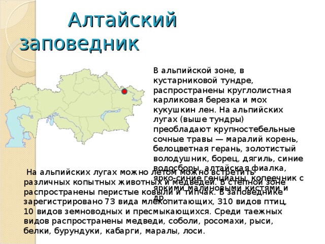  Алтайский  заповедник В альпийской зоне, в кустарниковой тундре, распространены круглолистная карликовая березка и мох кукушкин лен. На альпийских лугах (выше тундры) преобладают крупностебельные сочные травы — маралий корень, белоцветная герань, золотистый володушник, борец, дягиль, синие водосборы, алтайская фиалка, ярко-синие генцианы, копеечник с яркими малиновыми кистями и др..  На альпийских лугах можно летом можно встретить различных копытных животных и медведей. В степной зоне распространены перистые ковыли и типчак. В заповеднике зарегистрировано 73 вида млекопитающих, 310 видов птиц, 10 видов земноводных и пресмыкающихся. Среди таежных видов распространены медведи, соболи, росомахи, рыси, белки, бурундуки, кабарги, маралы, лоси. 