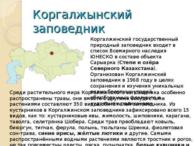 Коргалжынский заповедник Коргалжинский государственный природный заповедник входит в список Всемирного наследия ЮНЕСКО в составе объекта Сарыарка ( Степи и озёра Северного Казахстана ). Организован Коргалжинский заповедник в 1968 году в целях сохранения и изучения уникальных водно-болотных угодий, облюбованных фламинго и кудрявыми пеликанами. Среди растительного мира Коргалжинского заповедника особенно распространены травы, они вместе с другими сосудистыми растениями составляют 350 видов обитателей заповедника. Из кустарников в Коргалжинском заповеднике зафиксировано всего 15 видов, как то: кустарниковые ивы, жимолость, шиповники, карагана, таволга, селитрянка Шобера. Среди трав преобладают ковыль, биюргун, типчак, ферула, полынь, тюльпаны Шренка, фиолетовая сон-трава, синие ирисы, жёлтые лютики и другие. Самыми распространёнными водными растениями являются тростник и рогоз, не так повсеместны рдесты, ряска, пузырчатка, белые кувшинки и жёлтые кубышки . 