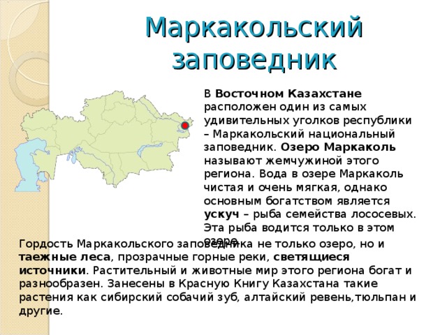 Маркакольский заповедник В Восточном Казахстане расположен один из самых удивительных уголков республики – Маркакольский национальный заповедник. Озеро Маркаколь называют жемчужиной этого региона. Вода в озере Маркаколь чистая и очень мягкая, однако основным богатством является ускуч – рыба семейства лососевых. Эта рыба водится только в этом озере. Гордость Маркакольского заповедника не только озеро, но и таежные леса , прозрачные горные реки, светящиеся источники . Растительный и животные мир этого региона богат и разнообразен. Занесены в Красную Книгу Казахстана такие растения как сибирский собачий зуб, алтайский ревень,тюльпан и другие. 