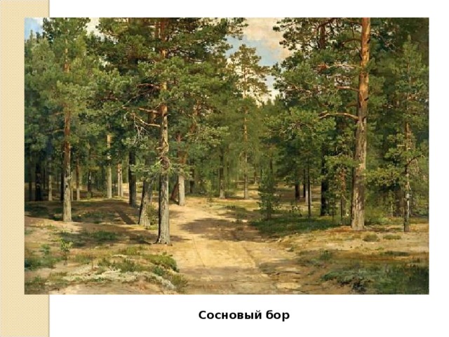 Сосновый бор 