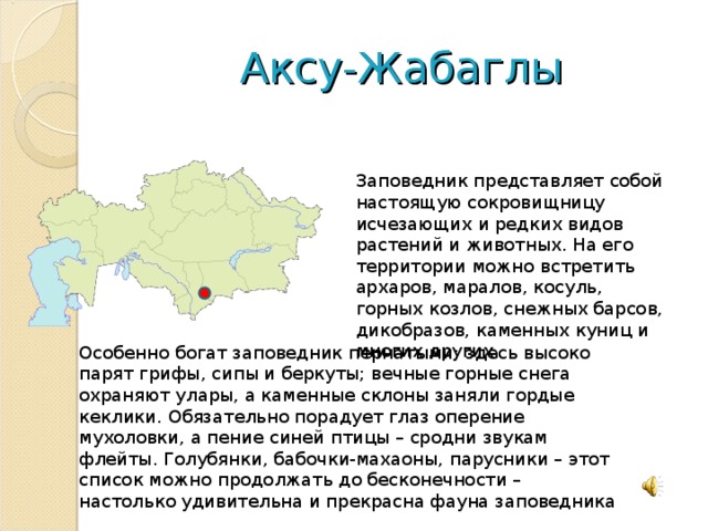 Аксу-Жабаглы Заповедник представляет собой настоящую сокровищницу исчезающих и редких видов растений и животных. На его территории можно встретить архаров, маралов, косуль, горных козлов, снежных барсов, дикобразов, каменных куниц и многих других. Особенно богат заповедник пернатыми: здесь высоко парят грифы, сипы и беркуты; вечные горные снега охраняют улары, а каменные склоны заняли гордые кеклики. Обязательно порадует глаз оперение мухоловки, а пение синей птицы – сродни звукам флейты. Голубянки, бабочки-махаоны, парусники – этот список можно продолжать до бесконечности – настолько удивительна и прекрасна фауна заповедника 