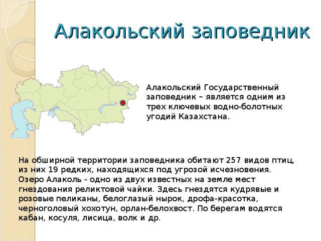 Алакольский заповедник Алакольский Государственный заповедник – является одним из трех ключевых водно-болотных угодий Казахстана. На обширной территории заповедника обитают 257 видов птиц, из них 19 редких, находящихся под угрозой исчезновения.  Озеро Алаколь - одно из двух известных на земле мест гнездования реликтовой чайки. Здесь гнездятся кудрявые и розовые пеликаны, белоглазый нырок, дрофа-красотка, черноголовый хохотун, орлан-белохвост. По берегам водятся кабан, косуля, лисица, волк и др. 