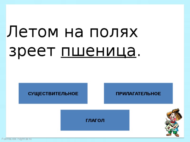 Летом на полях  зреет пшеница . СУЩЕСТВИТЕЛЬНОЕ ПРИЛАГАТЕЛЬНОЕ ГЛАГОЛ 