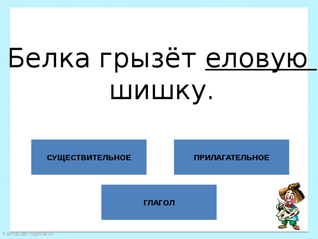 Белка грызёт еловую шишку. СУЩЕСТВИТЕЛЬНОЕ ПРИЛАГАТЕЛЬНОЕ ГЛАГОЛ 