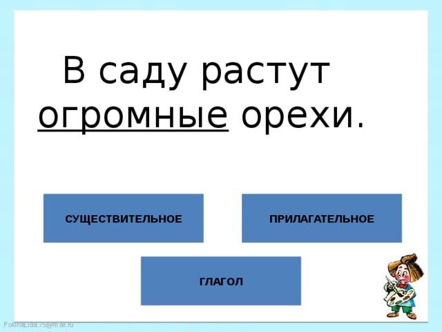 В саду растут  огромные орехи. СУЩЕСТВИТЕЛЬНОЕ ПРИЛАГАТЕЛЬНОЕ ГЛАГОЛ 