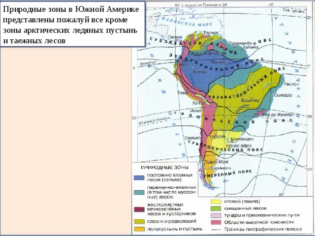 Природные зоны в Южной Америке представлены пожалуй все кроме зоны арктических ледяных пустынь и таежных лесов 