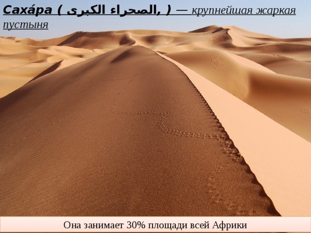 Саха́ра (  الصحراء الكبرى ‎ , )  — крупнейшая жаркая пустыня Она занимает 30% площади всей Африки 