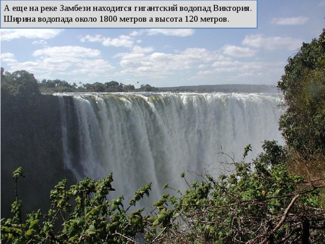А еще на реке Замбези находится гигантский водопад Виктория. Ширина водопада около 1800 метров а высота 120 метров. 