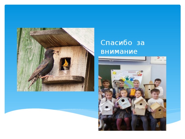 Спасибо за внимание 