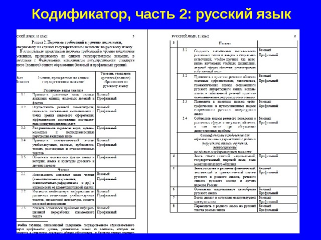 Кодификатор, часть 2: русский язык  