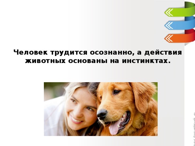 Человек трудится осознанно, а действия животных основаны на инстинктах. 