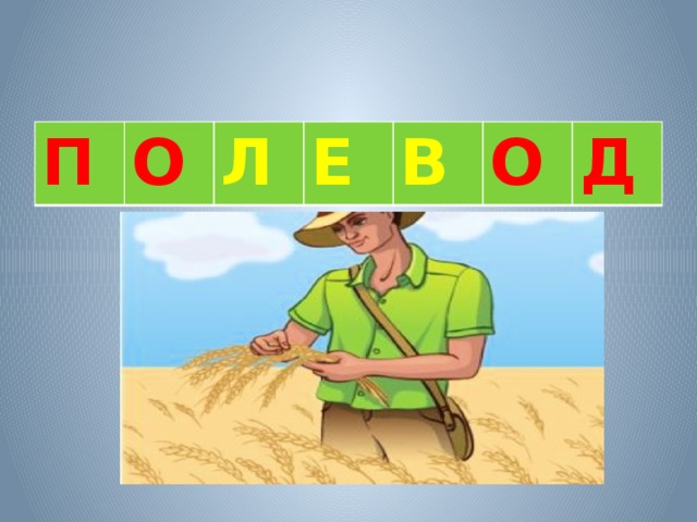    П О Л Е В О Д   
