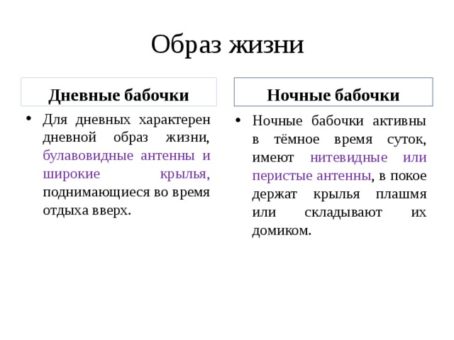 Образ жизни Дневные бабочки Ночные бабочки Для дневных характерен дневной образ жизни, булавовидные антенны и широкие крылья, поднимающиеся во время отдыха вверх. Ночные бабочки активны в тёмное время суток, имеют нитевидные или перистые антенны , в покое держат крылья плашмя или складывают их домиком. 
