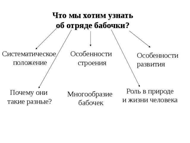 Что мы хотим узнать об отряде бабочки? Систематическое  положение Особенности строения Особенности развития  Роль в природе и жизни человека Почему они  такие разные? Многообразие бабочек 