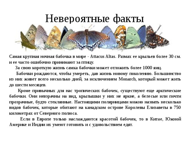 Невероятные факты Самая крупная ночная бабочка в мире - Attacus Altas. Размах ее крыльев более 30 см. и ее часто ошибочно принимают за птицу.  За свою короткую жизнь самка бабочки может отложить более 1000 яиц.  Бабочки рождаются, чтобы умереть, дав жизнь новому поколению. Большинство из них живет всего несколько дней, за исключением Monarch, который может жить до шести месяцев.  Кроме привычных для нас тропических бабочек, существуют еще арктические бабочки. Они невзрачны на вид, крылышки у них не яркие, а белесые или почти прозрачные, будто стеклянные. Настоящими полярницами можно назвать несколько видов бабочек, которые обитают на канадском острове Королевы Елизаветы в 750 километрах от Северного полюса.  Если в Европе только наслаждаются красотой бабочек, то в Китае, Южной Америке и Индии их умеют готовить и с удовольствием едят. 