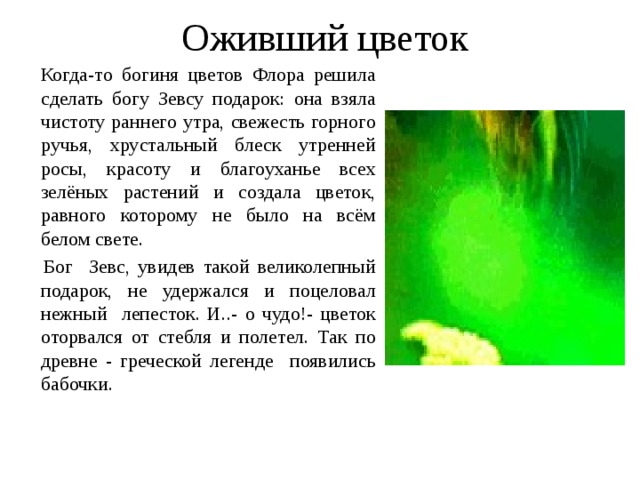 Оживший цветок  Когда-то богиня цветов Флора решила сделать богу Зевсу подарок: она взяла чистоту раннего утра, свежесть горного ручья, хрустальный блеск утренней росы, красоту и благоуханье всех зелёных растений и создала цветок, равного которому не было на всём белом свете.   Бог Зевс, увидев такой великолепный подарок, не удержался и поцеловал нежный лепесток. И..- о чудо!- цветок оторвался от стебля и полетел. Так по древне - греческой легенде появились бабочки.  