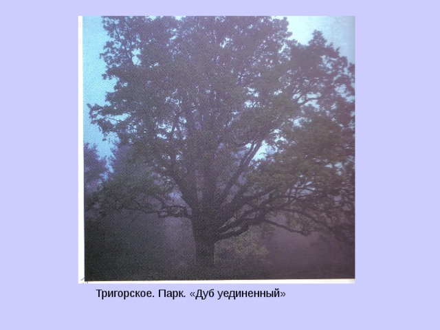 Тригорское. Парк. «Дуб уединенный» 