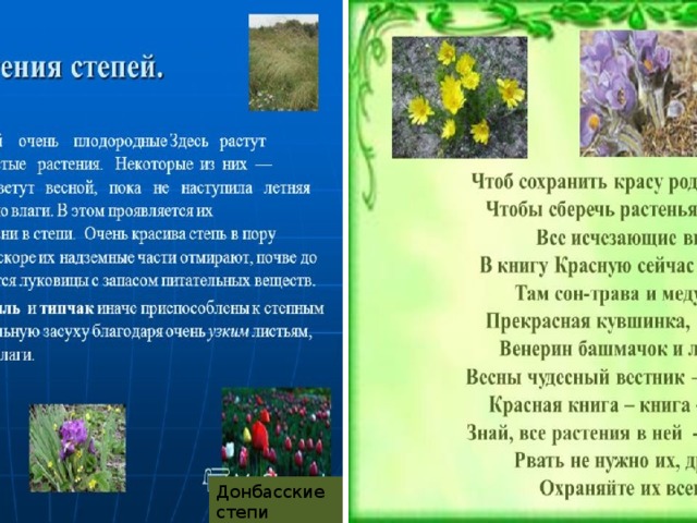 Донбасские степи Красная книга 