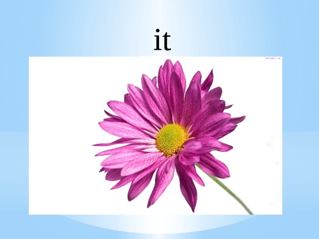 it 