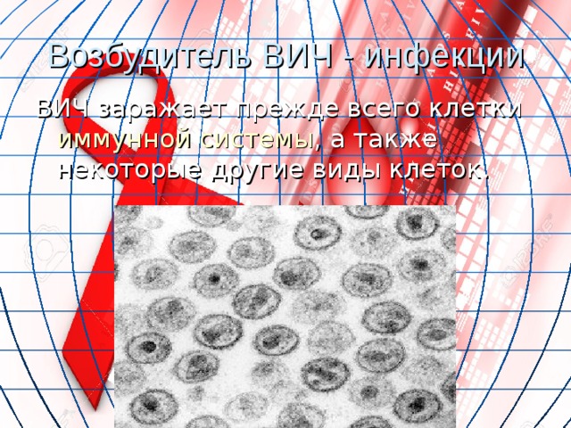 Возбудитель ВИЧ - инфекции ВИЧ заражает прежде всего клетки иммунной системы , а также некоторые другие виды клеток. 