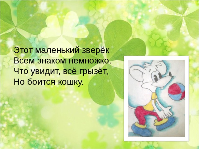 Этот маленький зверёк Всем знаком немножко. Что увидит, всё грызёт, Но боится кошку. 