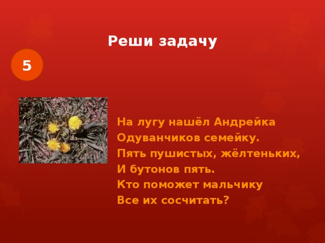 Реши задачу 5 На лугу нашёл Андрейка Одуванчиков семейку. Пять пушистых, жёлтеньких, И бутонов пять. Кто поможет мальчику Все их сосчитать? 