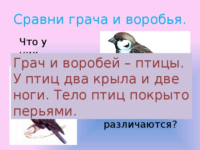 Сравни грача и воробья. Что у них общего? Грач и воробей – птицы. У птиц два крыла и две ноги. Тело птиц покрыто перьями. Чем они различаются? 