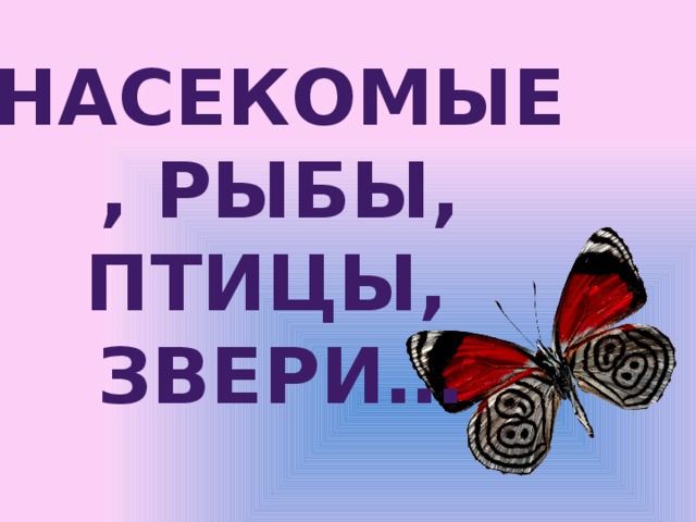 Насекомые, рыбы, птицы, звери… 