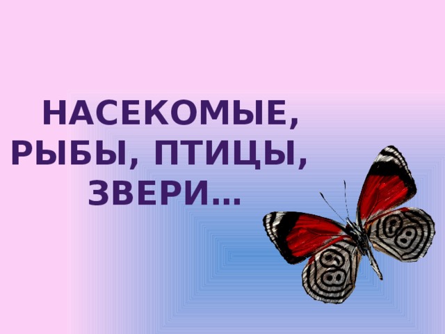   Насекомые, рыбы, птицы, звери… 