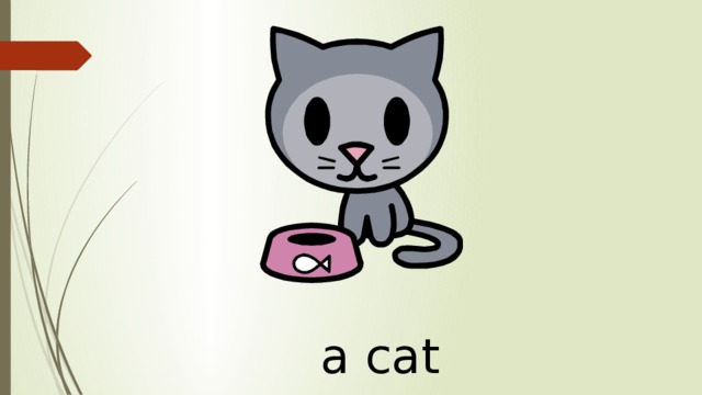 a cat 