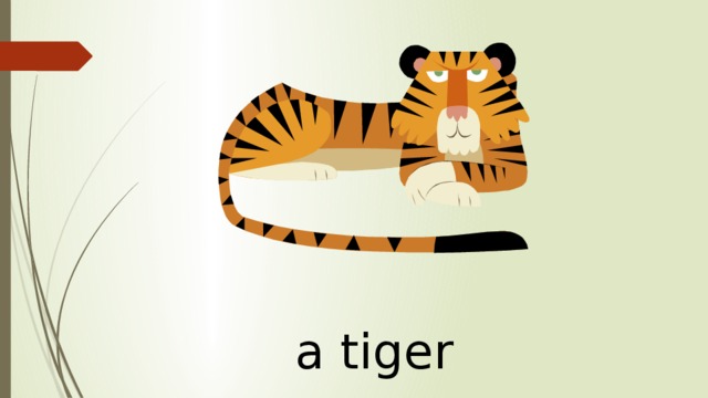 a tiger 