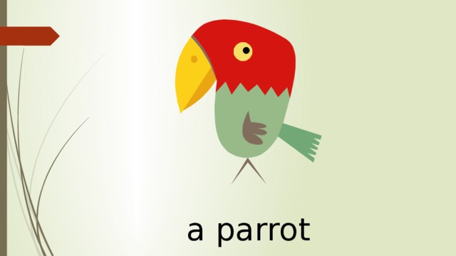 a parrot 