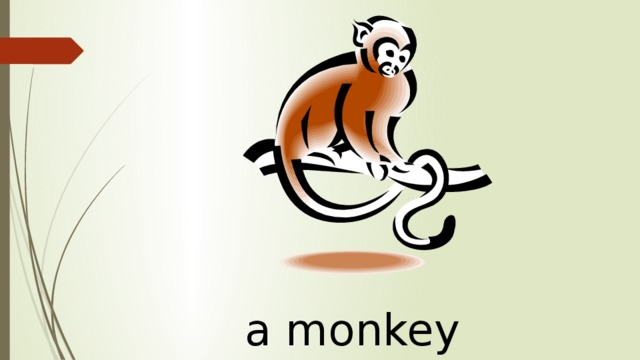 a monkey 