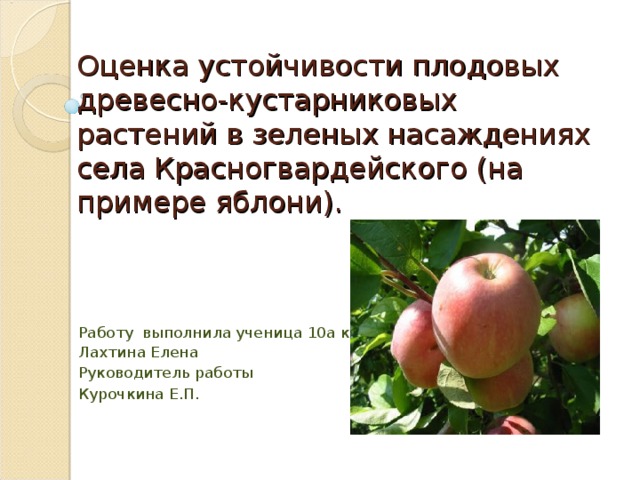 Оценка устойчивости плодовых древесно-кустарниковых растений в зеленых насаждениях села Красногвардейского (на примере яблони).   Работу выполнила ученица 10а класса Лахтина Елена Руководитель работы Курочкина Е.П . 