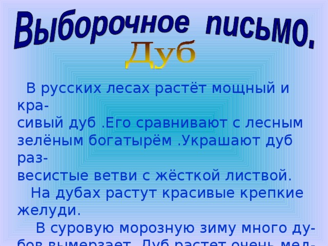  В русских лесах растёт мощный и кра- сивый дуб .Его сравнивают с лесным зелёным богатырём .Украшают дуб раз- весистые ветви с жёсткой листвой.  На дубах растут красивые крепкие желуди.  В суровую морозную зиму много ду- бов вымерзает .Дуб растет очень мед- ленно. 