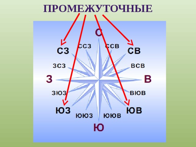 ПРОМЕЖУТОЧНЫЕ 