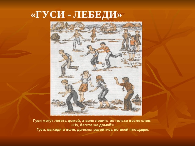   «Гуси - лебеди» Гуси могут лететь домой, а волк ловить их только после слов: «Ну, бегите же домой!» Гуси, выходя в поле, должны разойтись по всей площадке. 