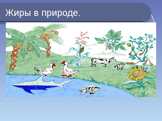 Жиры в природе. 