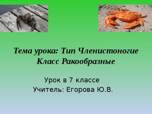  Тема урока: Тип Членистоногие  Класс Ракообразные Урок в 7 классе Учитель: Егорова Ю.В. 