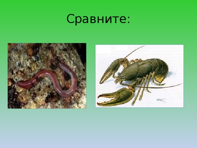 Сравните: 