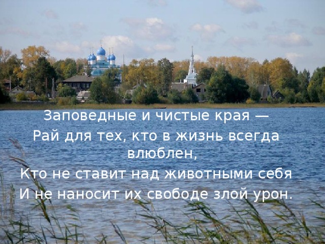 Заповедные и чистые края — Рай для тех, кто в жизнь всегда влюблен, Кто не ставит над животными себя И не наносит их свободе злой урон.  
