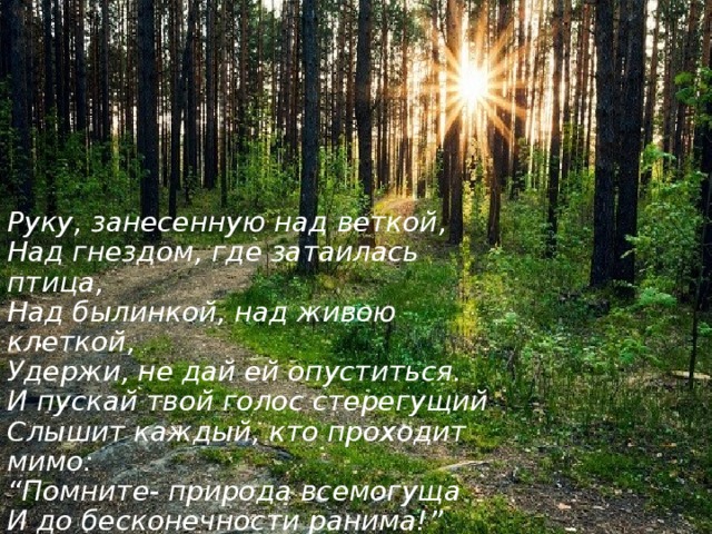 Руку, занесенную над веткой,  Над гнездом, где затаилась птица,  Над былинкой, над живою клеткой,  Удержи, не дай ей опуститься.  И пускай твой голос стерегущий  Слышит каждый, кто проходит мимо:  “Помните- природа всемогуща  И до бесконечности ранима!”                                     Ной Рудой . 