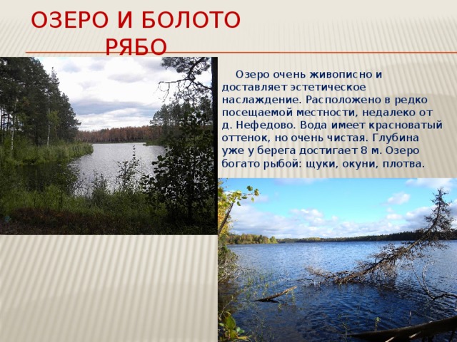 Озеро и болото РЯБО  Озеро очень живописно и доставляет эстетическое наслаждение. Расположено в редко посещаемой местности, недалеко от д. Нефедово. Вода имеет красноватый оттенок, но очень чистая. Глубина уже у берега достигает 8 м. Озеро богато рыбой: щуки, окуни, плотва. 