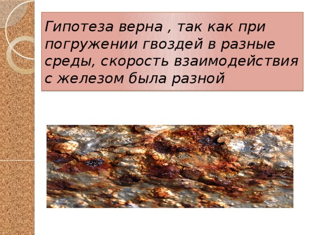 Гипотеза верна , так как при погружении гвоздей в разные среды, скорость взаимодействия с железом была разной 