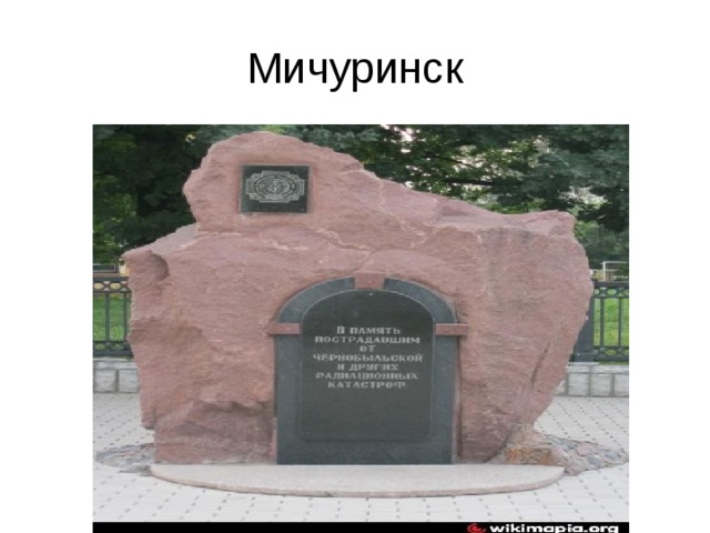 Мичуринск 