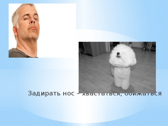 Задирать нос – хвастаться, обижаться 