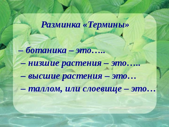 Разминка «Термины»  – ботаника – это….. – низшие растения – это….. – высшие растения – это… – таллом, или слоевище – это… 