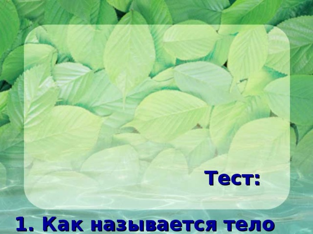                Тест:   1. Как называется тело водоросли?  А. Стебель Б. Таллом  В. Спорофит Г. Гаметофит   2. Какая водоросль относится к  одноклеточным?  А. Спирогира Б. Саргассум  В. Хлорелла Г. Ламинария           