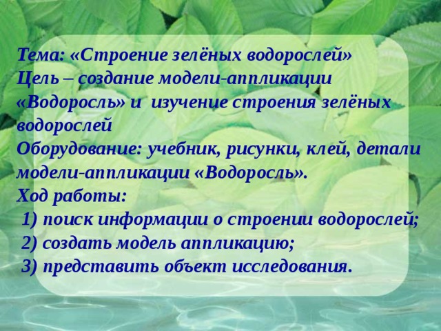 Тема: «Строение зелёных водорослей»  Цель – создание модели-аппликации «Водоросль» и изучение строения зелёных водорослей  Оборудование: учебник, рисунки, клей, детали модели-аппликации «Водоросль».  Ход работы:  1) поиск информации о строении водорослей;  2) создать модель аппликацию;  3) представить объект исследования. 