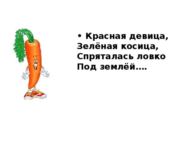  • Красная девица,   Зелёная косица,   Спряталась ловко   Под землёй…. 